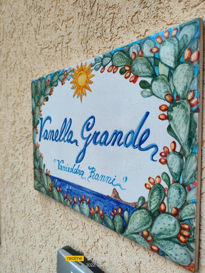 Vanella Grande Aspra *