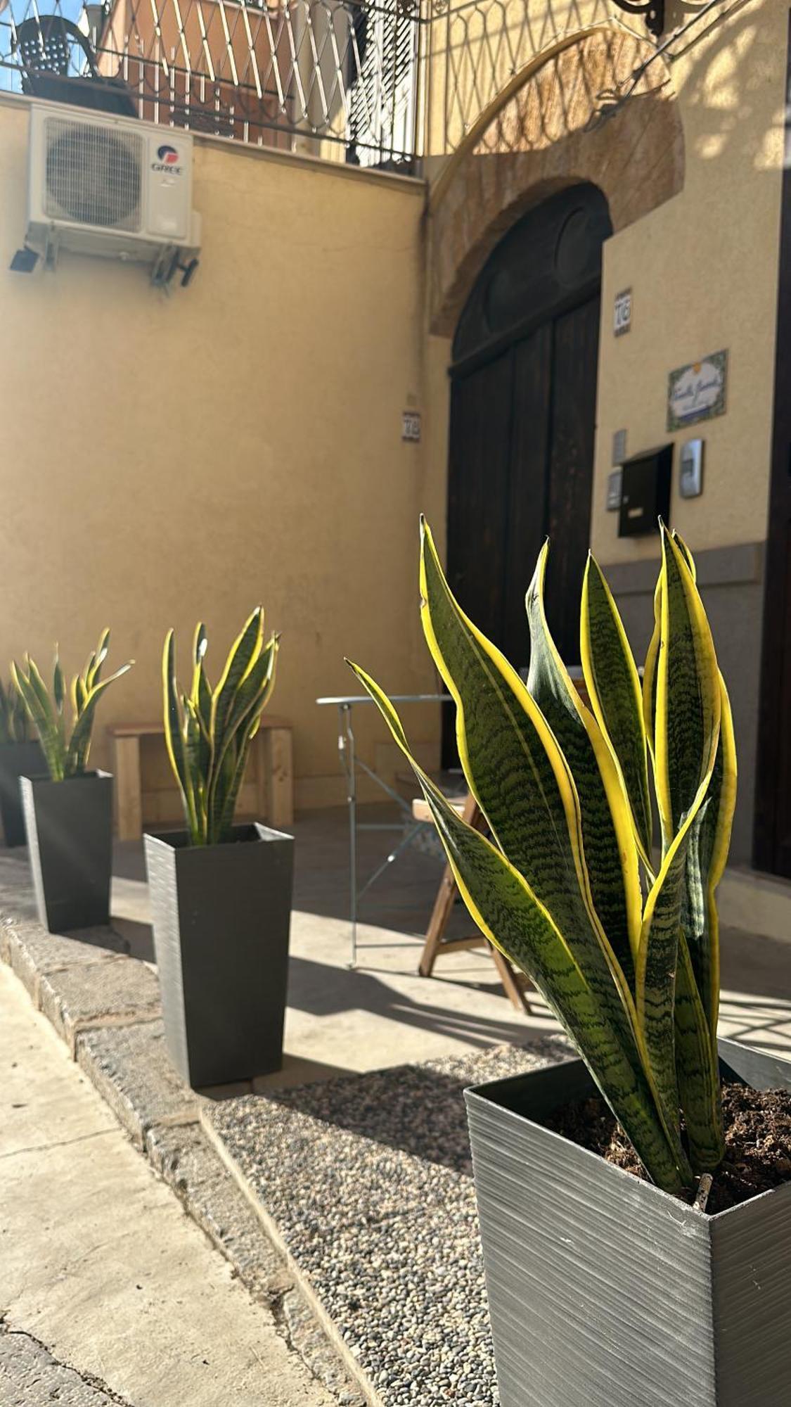 Vanella Grande Aspra Apartment *